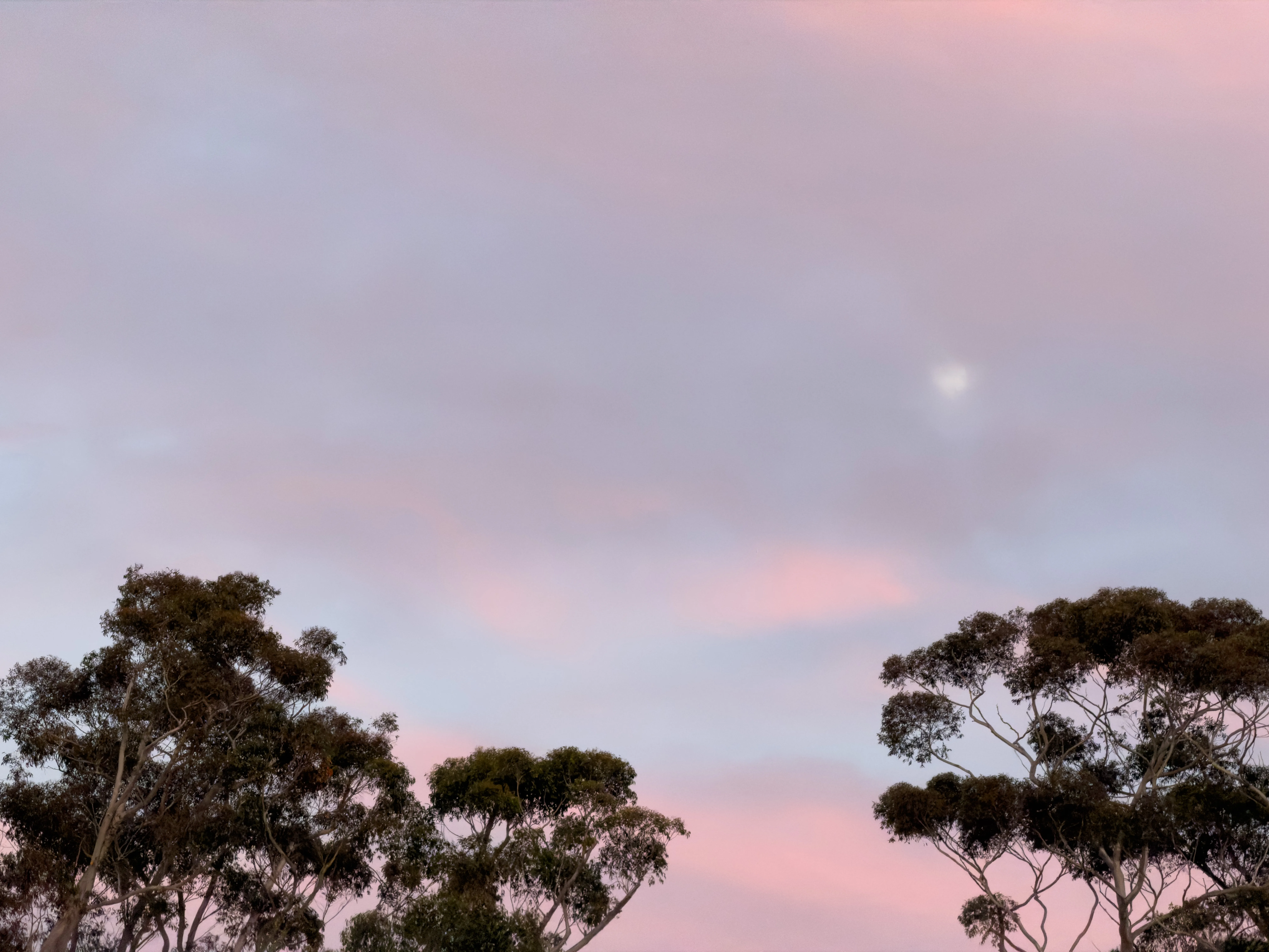 sky study